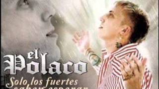 EL POLACO ME CANSE DE TUS MENTIRAS [upl. by Oilenroc]