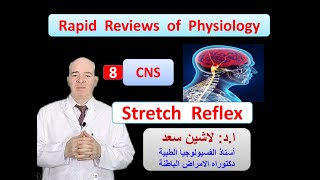 Physiology ReviewsCNS Stretch reflex [upl. by Colombi]