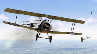 Paul Baumer Fokker Dr1 Rise of Flight [upl. by Vaclav]