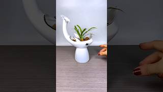 Best plant for home garden gardening plants flowers [upl. by Innos]