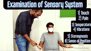 CNS  Examination of Sensory system Upper Limb EnglishHindi MBBS NEXT NEETPG [upl. by Simara]