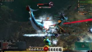 Guild Wars 2  Legendary BloodstoneCrazed Shark featuring Fluffy [upl. by Pollerd]