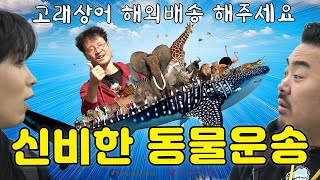 고래상어를 해외로 보내는 신박한 방법 대공개  노예쓰 EP14 동물 해외운송업체 편 Sub [upl. by Chastity397]