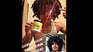 HOW TO GET FREEFORM DREADS WITH CURLY HAIR 3c hair [upl. by Adia362]