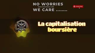 61 Comprendre la Capitalisation Boursière [upl. by Raclima629]