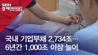 국내 기업부채 2734조…6년간 1000조 이상 늘어 [upl. by Leivad]