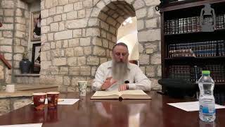 Morning Chassidus with Rabbi Shalom Pasternak [upl. by Xantha627]