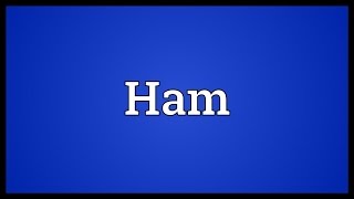 Ham Meaning [upl. by Tandi]