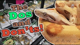 How to Shop at a Reptile Expo [upl. by Wakeen]