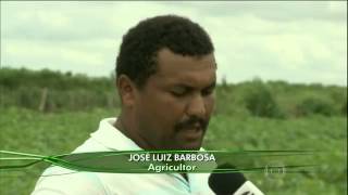 AGRICULTORES DE ARAPIRACA [upl. by Nivi]