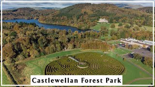 Castlewellan Forest Park  4K [upl. by Hueston779]