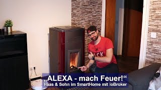 ALEXA Mach Feuer  Haas amp Sohn Pelletofen WLAN Modul ioBroker  TutorialHD [upl. by Sibyls624]