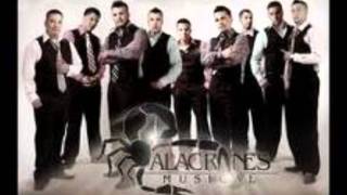 Los 500 NovillosAlacranes Musical [upl. by Manvel]