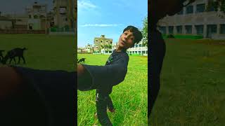 rat jaga pakhi dake oi dure short video swapnatv songstatus [upl. by Assirral]