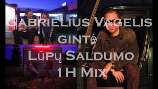 Gabrielius Vagelis Gintė  Lūpų Saldumo 1h mix [upl. by Bazluke]