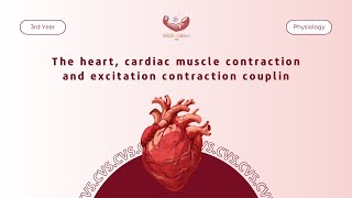 Physiology  The heart cardiac muscle contraction and excitation contraction coupling [upl. by Huxley275]