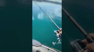 Bracciano lake 🌋 carpfishing fishing carp fish carpfishingvideos [upl. by Cooperman488]