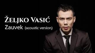 Željko Vasić  Zauvek acoustic version  Audio 2016 [upl. by Egide]