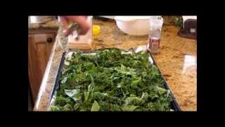 Dehydrated And Oven Roasted Kale With Lindas Pantry [upl. by Eeralih]