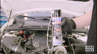 LIQUI MOLY ProLine Intake System Cleaner Diesel 5168 EN [upl. by Vel725]