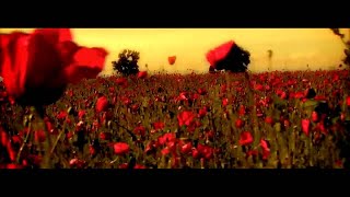 Sisu  Din Toate Florile  Official Video [upl. by Kimura]