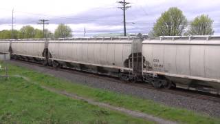 BNSF 4309 And CSX 566 Lead Trains  Old Town Tacoma WA w Canon HF11 [upl. by Wolf]