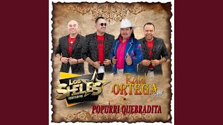 Popurri Quebradita feat Raul Ortega Y Su Banda Arre [upl. by Corso212]