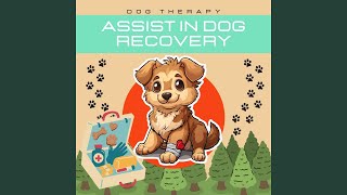 Assist in Dog Recovery [upl. by Conah328]