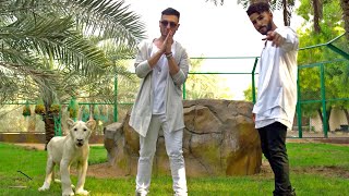 Adam Saleh  Waynak ft Faydee Official Music Video [upl. by Arutek798]