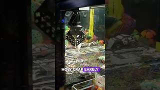 Unbelievable Claw Machine Win 🤯 [upl. by Maryjo546]