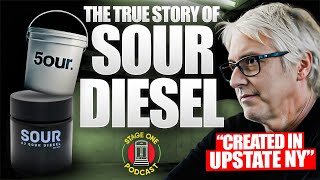 The Real Story of Sour Diesel Its Creation Name and Sudden Disappearance  AJ Sour Diesel [upl. by Asaph665]