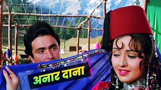 Naar Dana Anar Dana Full 4K Song  Henna 1991  Zeba Bakhtiar  Lata Mangeshkar  90s Hindi Song [upl. by Nemsaj]