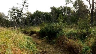 DIY Hunting Land  Trailing Through The Front 30 Pt2 [upl. by Leibman172]