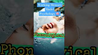 Working Memory Model Psychology Aqa A Level 🧠 alevels memory workingmemory psychology alevel [upl. by Aiem]