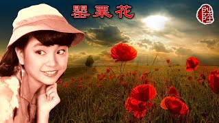 陳秋霞【罌粟花 1979】歌詞MV1080p作曲：陳秋霞填詞：鄭國江Chelsia Chan [upl. by Itraa667]