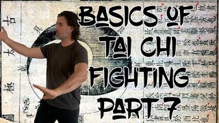 Basics of tai Chi fighting 7 [upl. by Natal355]