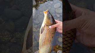 Amazing fishing hook throw at baeutiful fishing point naer river shorts [upl. by Salisbury]