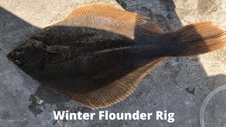 My Favorite Winter Flounder Rig [upl. by Notloc594]