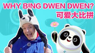 The History of Winter Olympic Mascots Why Did China Go Crazy for Bing Dwen Dwen [upl. by Pegeen688]