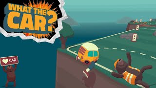 Gioco a calcio su what the car  Ep 3 [upl. by Ryun]