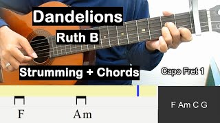 Dandelions Guitar Strumming Pattern Tutorial Ruth B Guitar Chords Beginner Guitar Lesson [upl. by Akilat212]