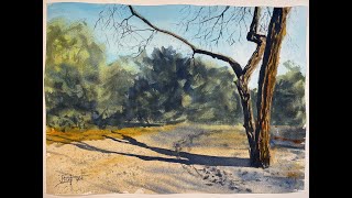 Watercolor  Mesquite Shadow [upl. by Selda671]