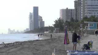 Eroded South Broward Beaches May Get New Sand [upl. by Evangelist]