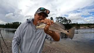 fishing redfishspeckled trout choctawhatchee bay intercostal water way [upl. by Leith]