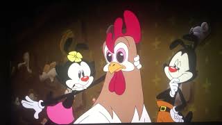 animaniacs The old characters get revenge on chicken boo [upl. by Nuris]