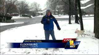 Excited pup runs circles in snow around Rob Roblin [upl. by Tedd]