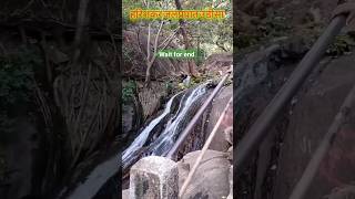 Harishankar waterfall odisha shorts  odisha tourism harishankar ytshorts [upl. by Wiltsey]