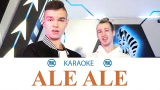 Palion  Ale Ale  Karaoke instrumental cover [upl. by Einolem]