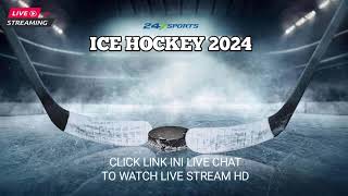 Fehervar Hockey Academy 19 U20 vs VSV U20  Ice Hockey Live Stream 2024 [upl. by Norvun]