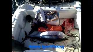 Hubris Sportfishing 2012 Season Video [upl. by Gustie984]